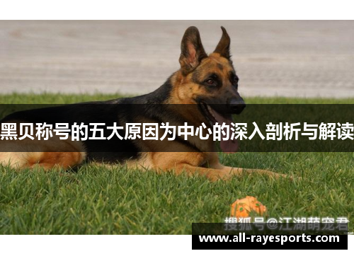 黑贝称号的五大原因为中心的深入剖析与解读 黑贝称号的五大原因为中心的深入剖析与解读